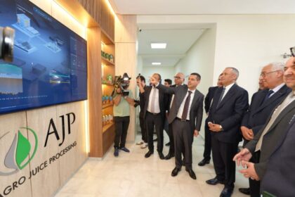 رجال أعمال يشرحون مشروعًا على شاشة عرض.