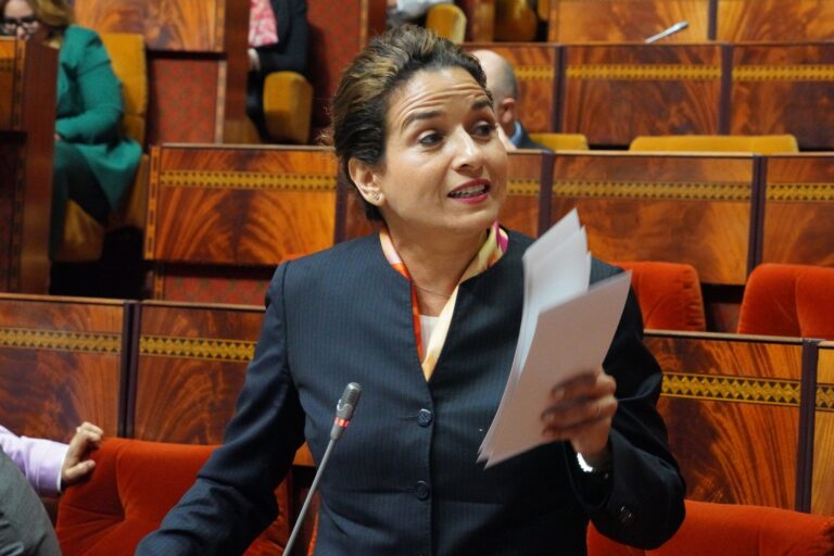 ليلى بنعلي تتحدث في البرلمان عن تخزين الغاز والفيول