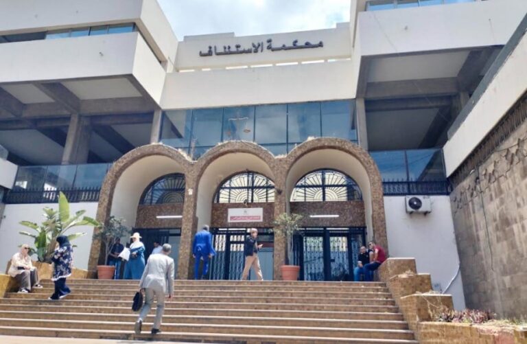 أعضاء لجنة العدل بمجلس النواب يصعدون الدرج.