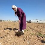 شابة فلسطينية تعمل في زراعة القمح وسط الدمار