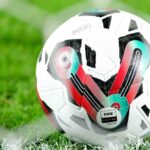 كرة قدم على عشب ملاعب البطولة الاحترافية