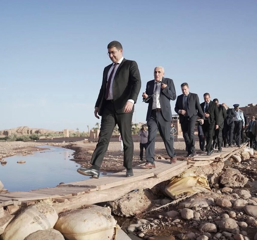 أشجار النخيل والنباتات الخضراء في مكان مهجور