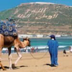شخص يرتدي زيا تقليديا يركب جملا في الصحراء