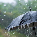 مطر يتساقط على مظلة مفتوحة