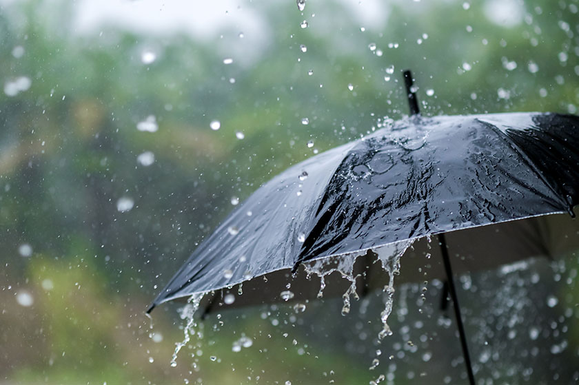 مطر يتساقط على مظلة مفتوحة