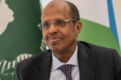 علي يوسف، رئيس مفوضية الاتحاد الإفريقي.