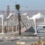 تمثال لجملين يسيران في الصحراء