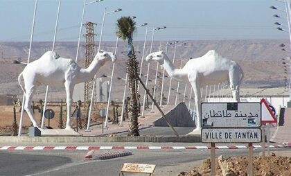 تمثال لجملين يسيران في الصحراء