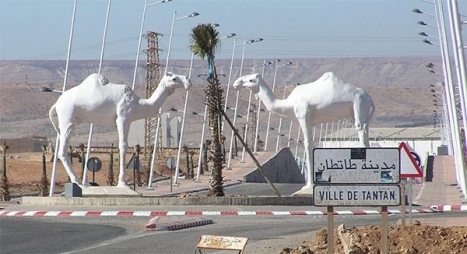 تمثال لجملين يسيران في الصحراء