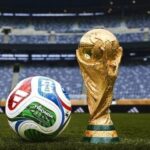 كرة قدم وكأس ذهبية في ملعب أخضر