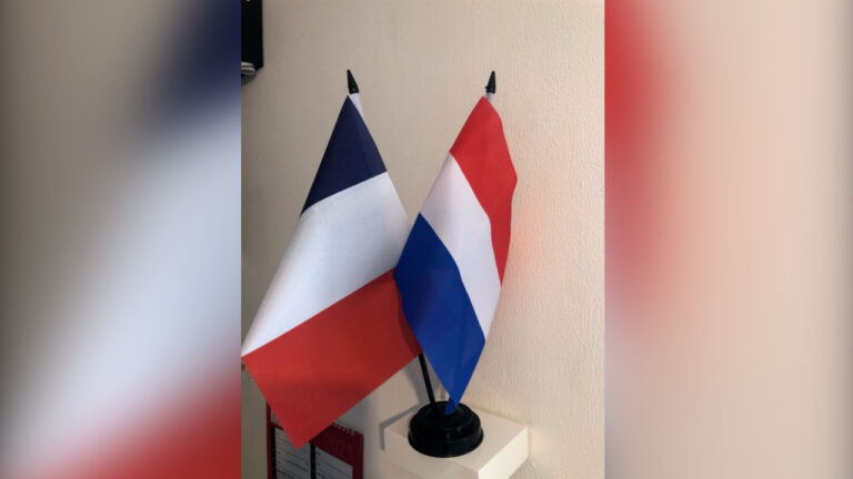 علمي ألمانيا وفرنسا يقفان على حاملين صغيرين