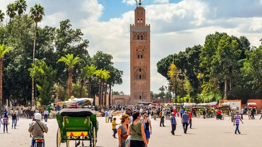 مركبة تجرها الخيول تتجول في شارع بمراكش