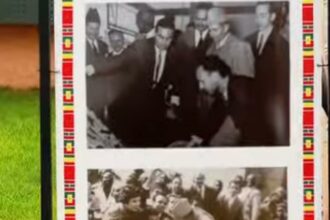بوستر فوتوغرافي يعرض صورًا لأشخاص بخلفيات حمراء وخضراء