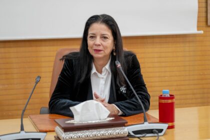 امرأة تتحدث أمام الميكروفونات في اجتماع رسمي