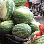 مجموعة من ثمار البطيخ الأحمر الطازج والمرصوصة بشكل منظم