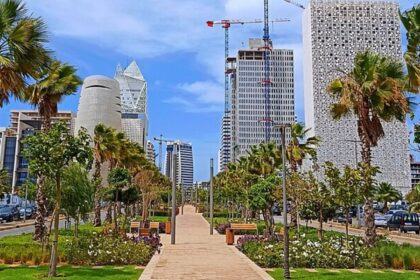 ممشى ساحلي بالنخيل ومباني شاهقة بالدار البيضاء