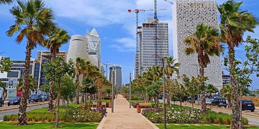 ممشى ساحلي بالنخيل ومباني شاهقة بالدار البيضاء