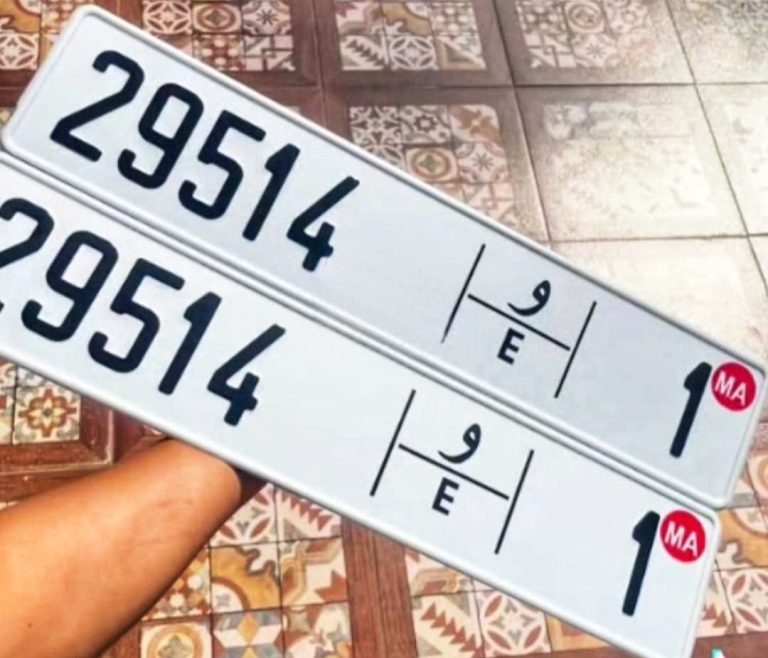 لوحة ترخيص سيارة قديمة من ولاية فلوريدا الأمريكية.