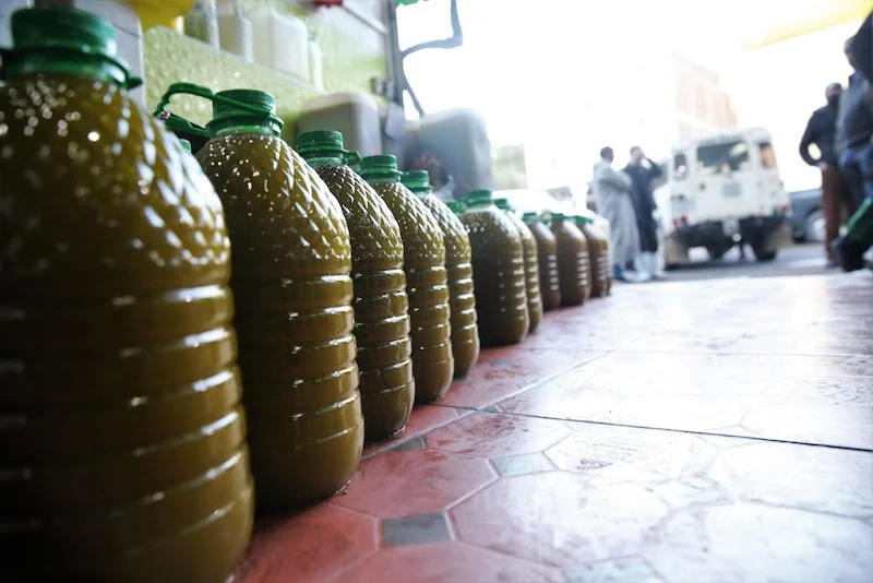 زجاجات زيت الزيتون الأخضر على أرضية قرميدية