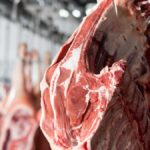 قطعة لحم حمراء داخل مصنع تجهيز اللحوم