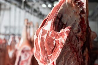 قطعة لحم حمراء داخل مصنع تجهيز اللحوم