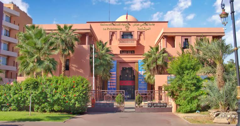 مبنى بلون الخوخ وأشجار نخيل عالية وأعلام أمريكية