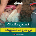 شخص يحمل مثلجات بيده للبيع