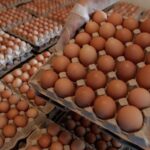 علبة كرتونية بها بيض بني صغير