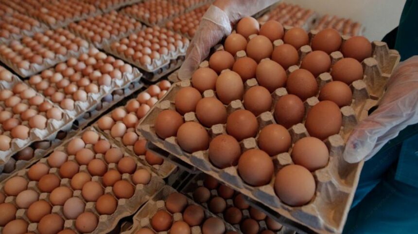 علبة كرتونية بها بيض بني صغير
