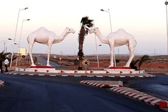 تماثيل خشبية بيضاء مزخرفة مستوحاة من التراث الصحراوي.