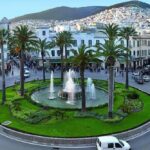 شارع مدينة به عدة أشجار نخيل