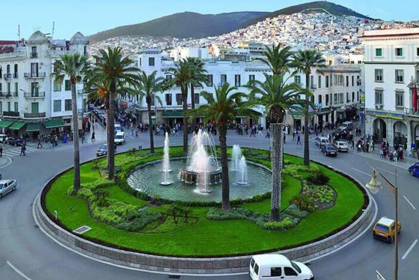 شارع مدينة به عدة أشجار نخيل