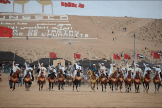 مجموعة من الفرسان على ظهور الخيل في عرض تراثي.
